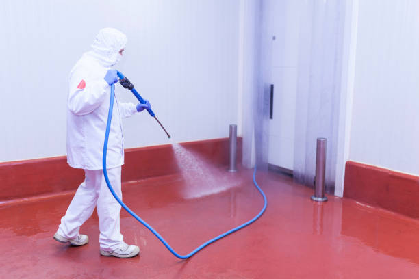 Best Driveway Pressure Washing  in Milton, PA